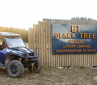 UTV beside a Blacktree signage