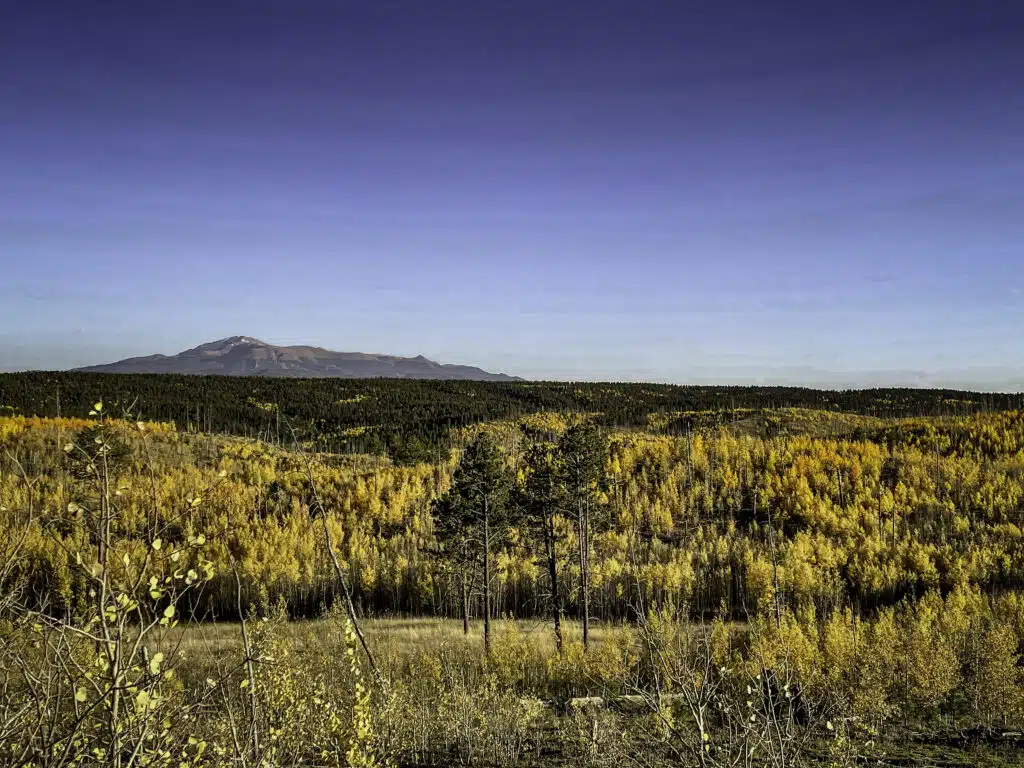 Fall Adventures in Colorado: Scenic Drives & Off-Road Fun