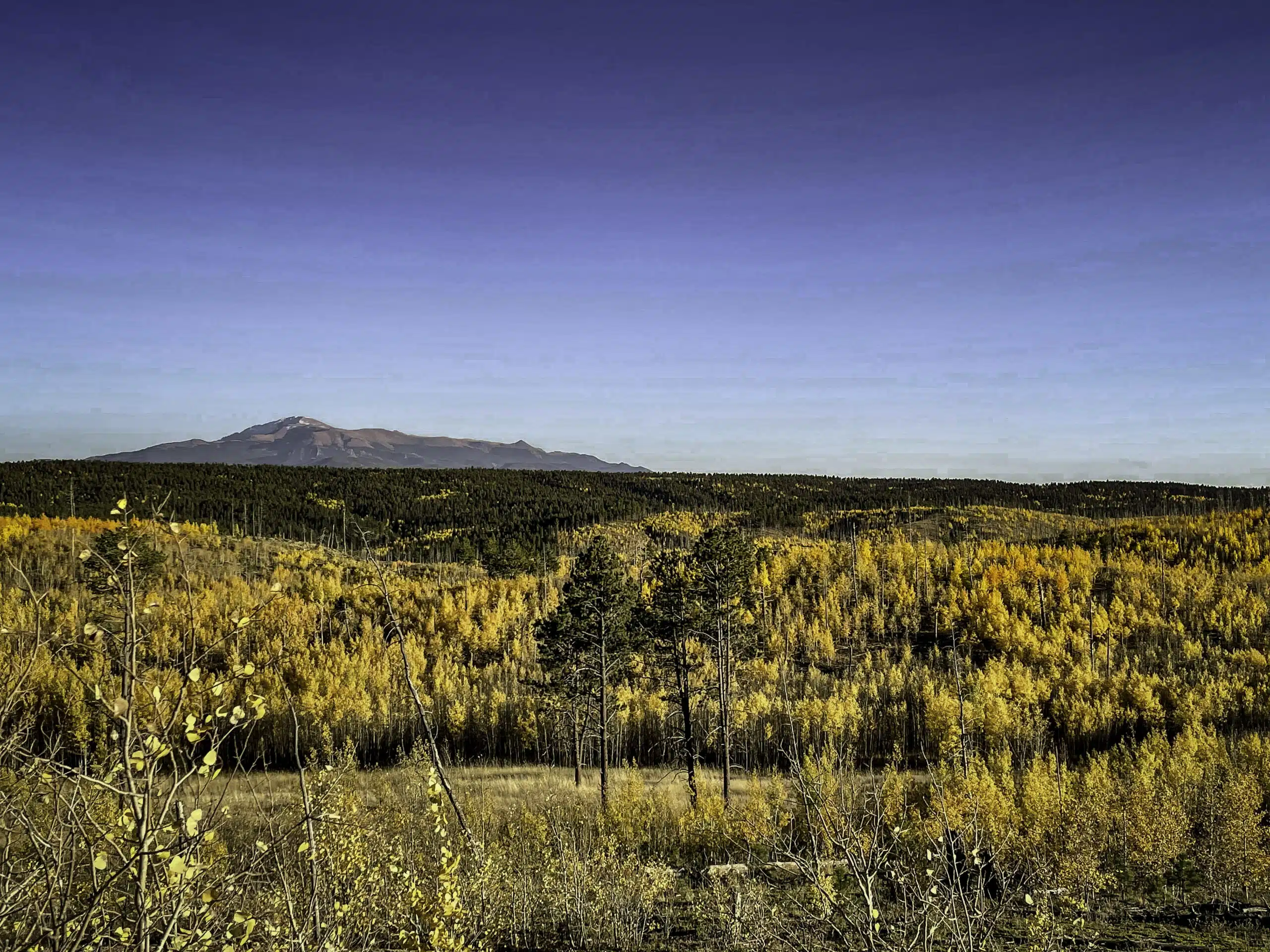 Fall Adventures in Colorado: Scenic Drives & Off-Road Fun