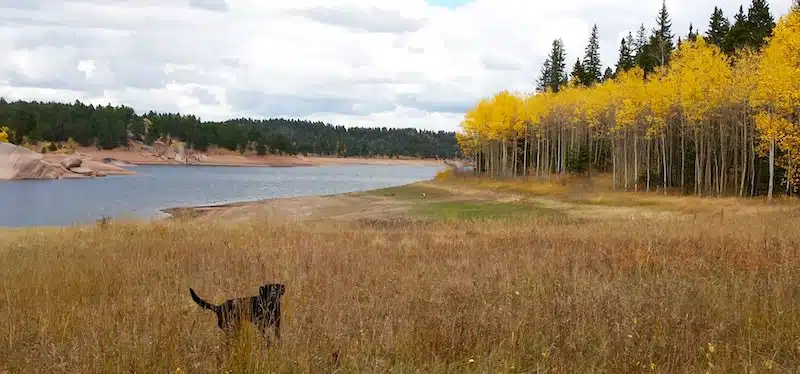 Rainbow Gulch meets Rampart Range Reservoir. Photo by Mike Babcock.