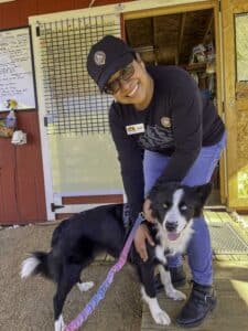 Picture of Angelica Stoll - Executive Director