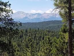 Sendero de Lovell Gulch cerca de Woodland Park con vistas a Pikes Peak en primavera