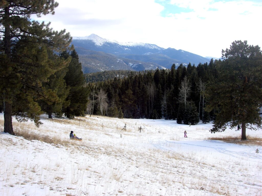 Senderos de primavera en el Parque Estatal Mueller cerca de Woodland Park, Colorado