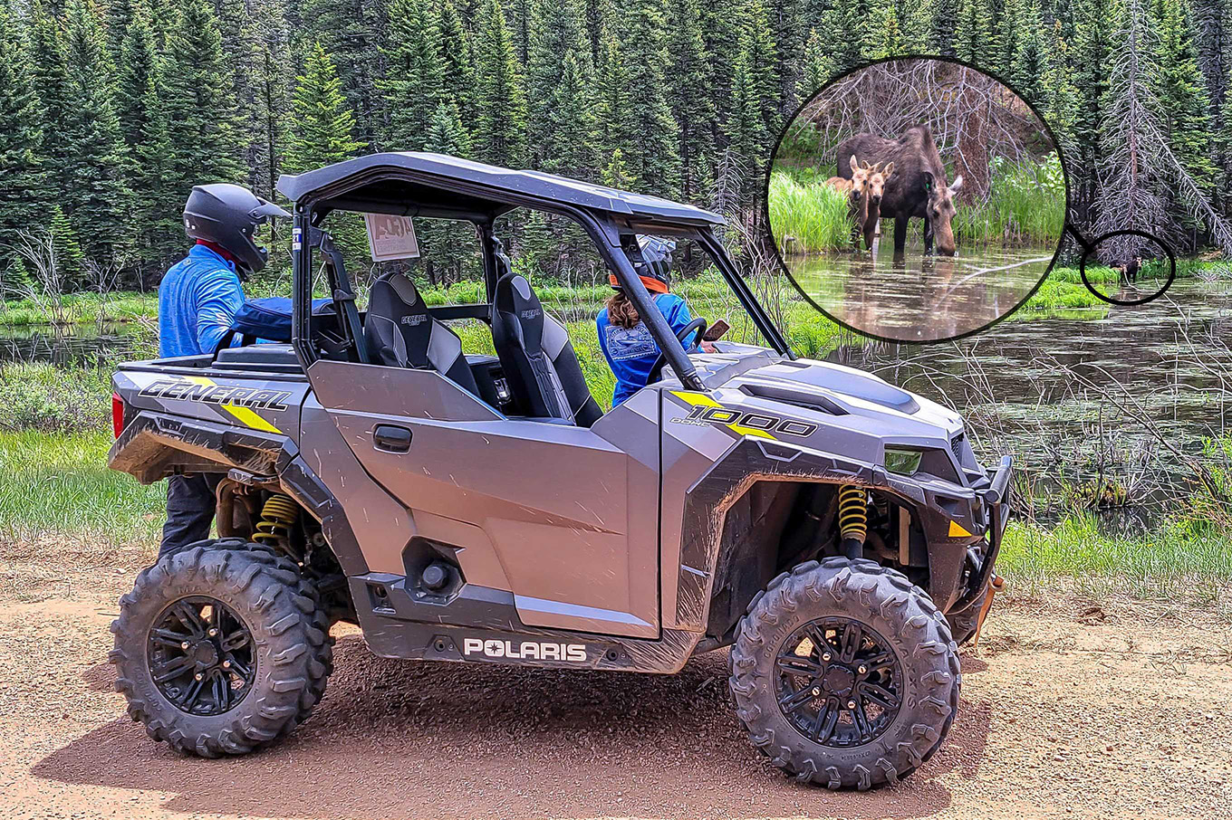 Polaris General 1000 UTV rental parked near a mountain lake with an inset callout showing a mother moose and calf spotted on trail in Colorado
